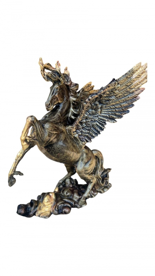 PEGASUS